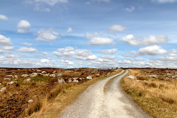 Farm road in a bog with typical vegetation and rocks