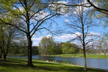Die Rheinaue in Bonn mit Rheinauensee - Stockfoto