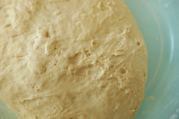a large amount of fermented dough in the container,