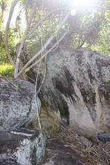 Fototapeta premium seychelles private island beach sun