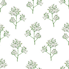 Seamless pattern with gypsophila flowers in watercolor style isolated on white background