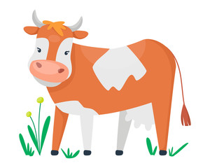 Adorable cute cow.  Vector design for milky pack or illustration for children. Cartoon flat style.