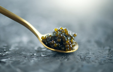 Black caviar in a spoon on dark background. Natural sturgeon black caviar closeup. Delicatessen - obrazy, fototapety, plakaty