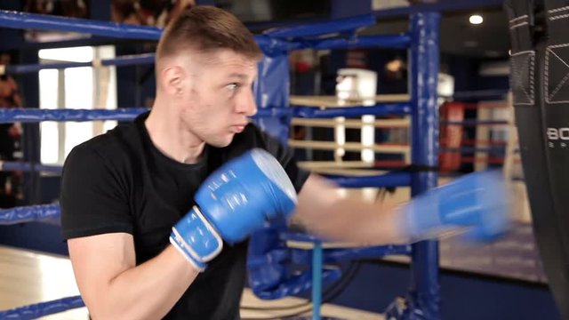 Boxer man is hitting training punching bag, blue gloves