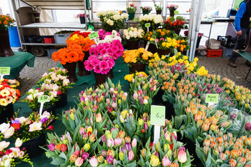 spring flowers in market