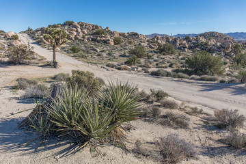 wilderness in south California