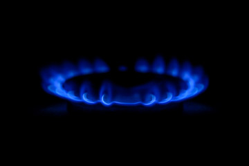 Gas burner. Burning blue gas on the stove on dark background. 