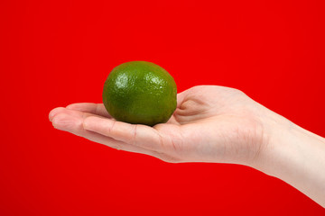 Ripe juicy lime in hand isolated on red background.