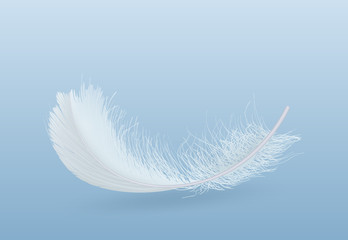 Bird single white, fluffy flying or falling feather 3d realistic vector illustration isolated on gradient blue background. Purity and softness, elegance and innocence concept design element or symbol