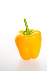Yellow Pepper