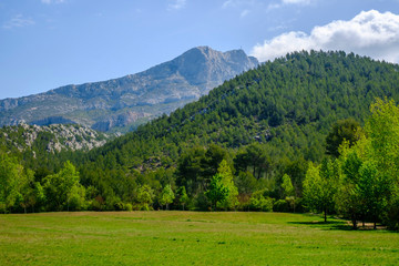 Fototapeta na wymiar Montagne Sainte Victoire au printemps. Provence, France. 