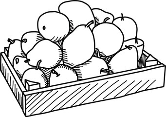 Fruits in the wooden box. Vector. Drawing