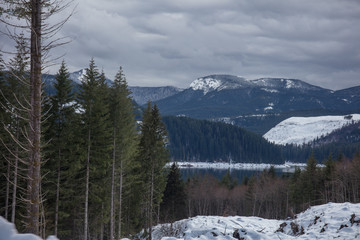 lewis river in washington state