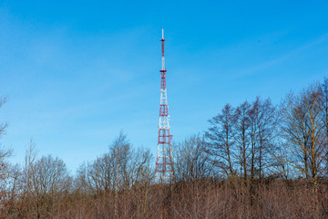 TV tower in the forest