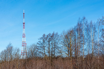 TV tower in the forest