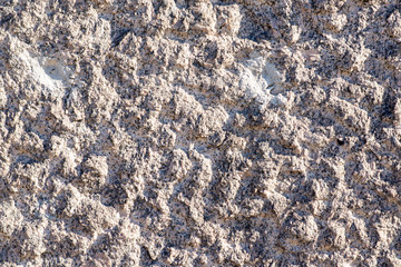 gray concrete wall with irregularities