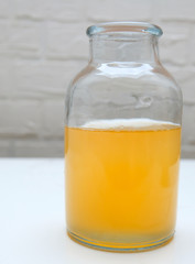 Healthy fermented kombucha tea in a jar. 