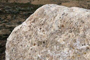 Close-up of rock surface,