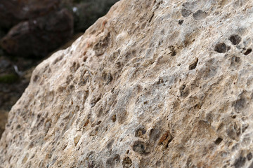 Close-up of rock surface,