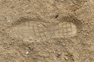 shoe print appeared in the soil,