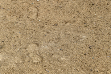 Fototapeta na wymiar shoe print appeared in the soil,