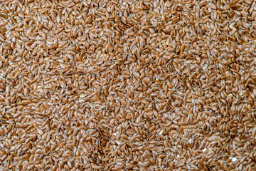 Flax seeds isolated on white background. flaxseed or linseed. Cereals. Healthy food. top view