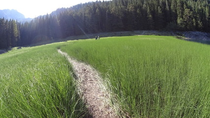 landscape with river
