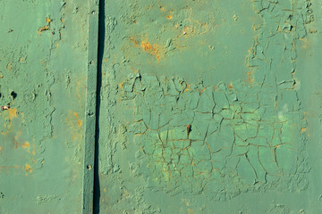 Obraz premium Green vertical line texture