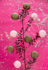 Chocolate and strawberry macrons and dry flower branch