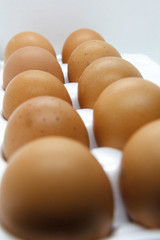 Easter eggs on a white background