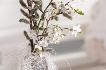 kwitnące mirabelki © jolka1616