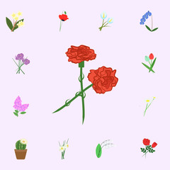 Clove red flowers color icon. flowers icons universal set for web and mobile