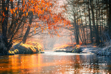 Obrazy na Szkle  Jesienny krajobraz