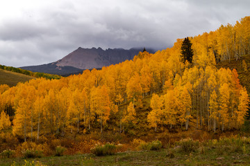 Fototapeta premium Autumn Color in San Juan and Rocky Mountains of Colorado