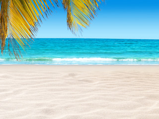 Coconut palm leaves hanging over the tropical white sandy beach and turquoise sea.