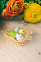 Top and close up view of bright colorful yellow and orange blooming flowers and a straw Easter nest with dotted painted eggs decorations on pale wooden background. Floral Easter eggs nest decor