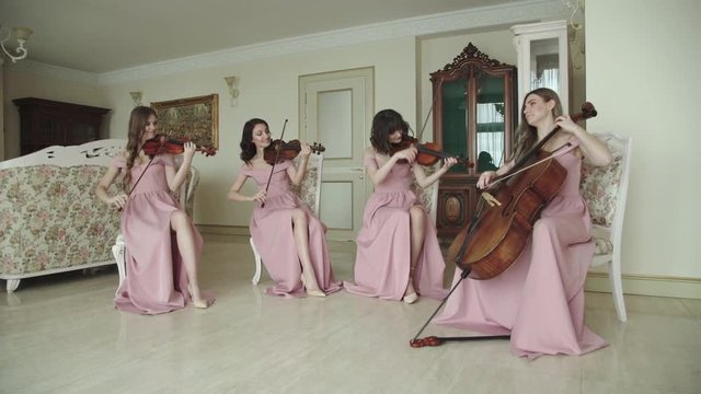 Female quartet play on stringed instruments in a room