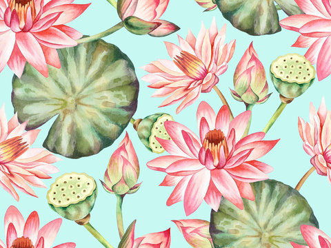 Illustration of watercolor hand drawn pattern of pink lotus flower and green leaves on blue background. Spring asian water lily flower wallpaper. Botanical, bud, blossom, nature, textile, japanese.