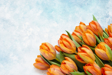 Orange tulips bouquet on blue watercolor background. Copy space, top view. Holiday background