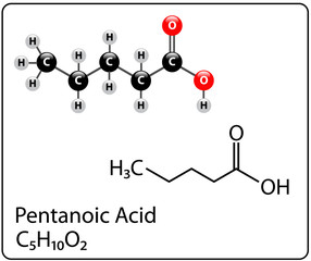 Pentanoic Acid Molecule Structure