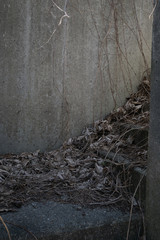 An aged concrete place