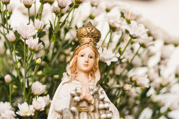 image of our lady, flower background, Our Lady of Fatima, Our Lady of the Rosary of Fatima, holy...