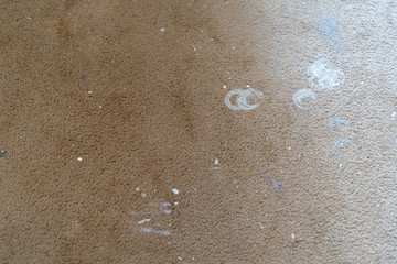 Paint spilled all over dirty brown carpet during a painting and home renovation improvement project