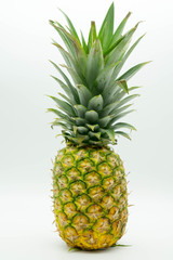 Obraz premium single standing pineapple with a large stem on an isolated white background