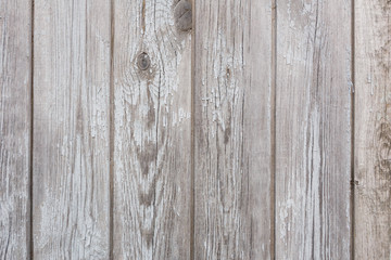 The texture of the old shabby gray fence and remnants of white paint
