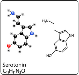 Serotonin Molecule Structure