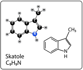 Skatole Molecule Structure