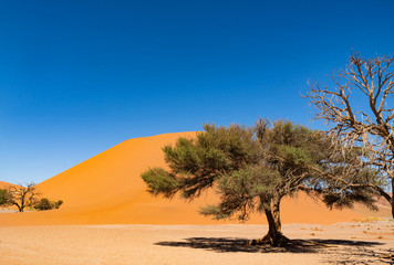 Fototapeta premium Sossusvlei Namib Namibia