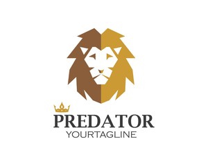 lion logo vector illustration