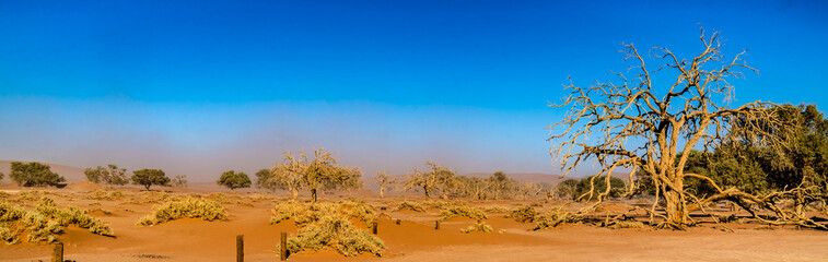 Sossusvlei Namib Namibia